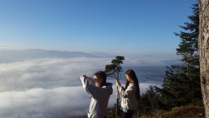 Americans enjoy the view from Kodak Corner in Rostrevor when they visit Northern Ireland