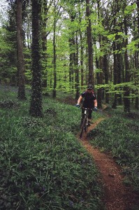 Person mountain biking in Rostrevor Forest 