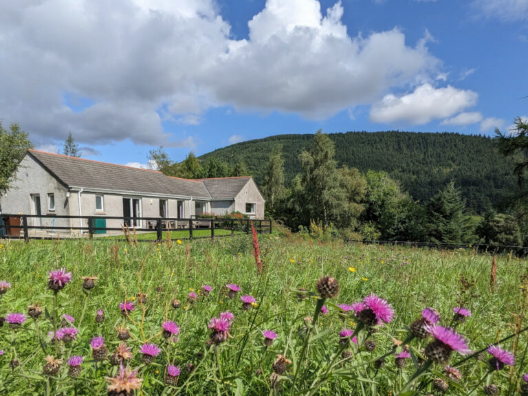 4 bedroom holiday house nestled in a serene countryside setting, surrounded by lush greenery and blooming flowers.